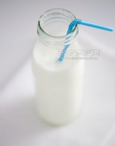 武漢綠洲海食品 匠心打造優(yōu)質(zhì)豆奶，傳遞健康與美味